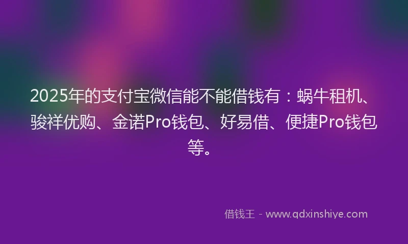 2025年的支付宝微信能不能借钱有：蜗牛租机、骏祥优购、金诺Pro钱包、好易借、便捷Pro钱包等。