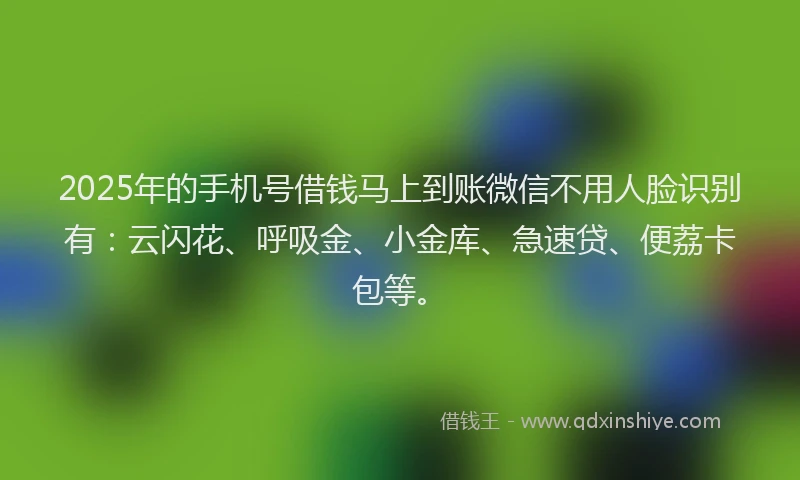 2025年的手机号借钱马上到账微信不用人脸识别有：云闪花、呼吸金、小金库、急速贷、便荔卡包等。