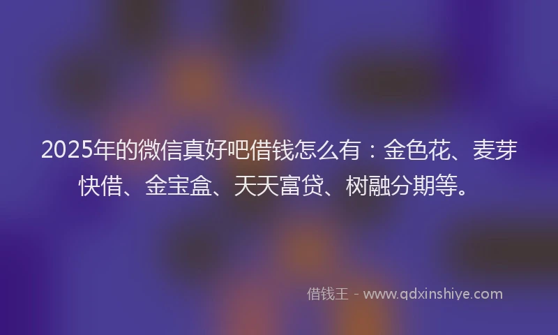 2025年的微信真好吧借钱怎么有：金色花、麦芽快借、金宝盒、天天富贷、树融分期等。