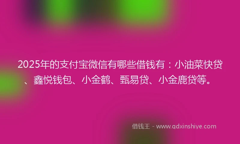 2025年的支付宝微信有哪些借钱有：小油菜快贷、鑫悦钱包、小金鹤、甄易贷、小金鹿贷等。