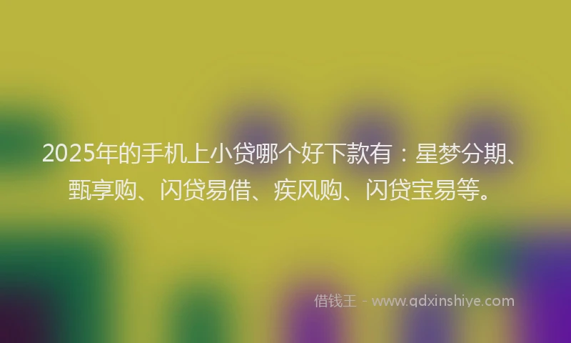 2025年的手机上小贷哪个好下款有：星梦分期、甄享购、闪贷易借、疾风购、闪贷宝易等。