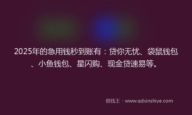 2025年的急用钱秒到账有：贷你无忧、袋鼠钱包、小鱼钱包、星闪购、现金贷速易等。