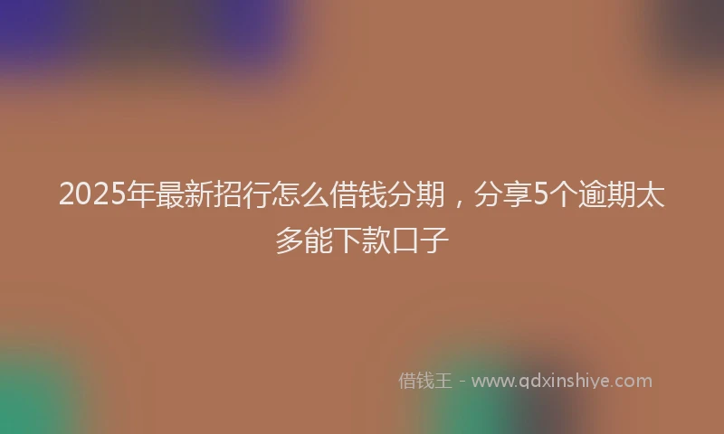 2025年最新招行怎么借钱分期，分享5个逾期太多能下款口子
