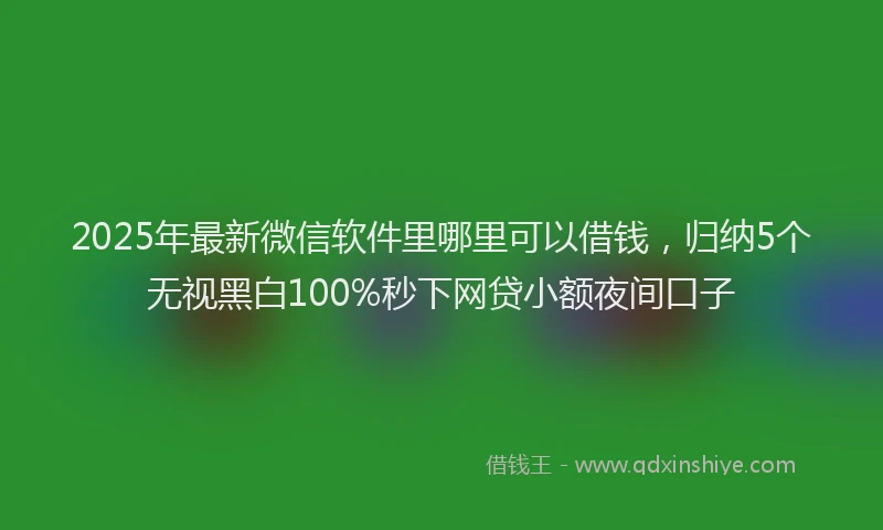 2025年最新微信软件里哪里可以借钱，归纳5个无视黑白100%秒下网贷小额夜间口子