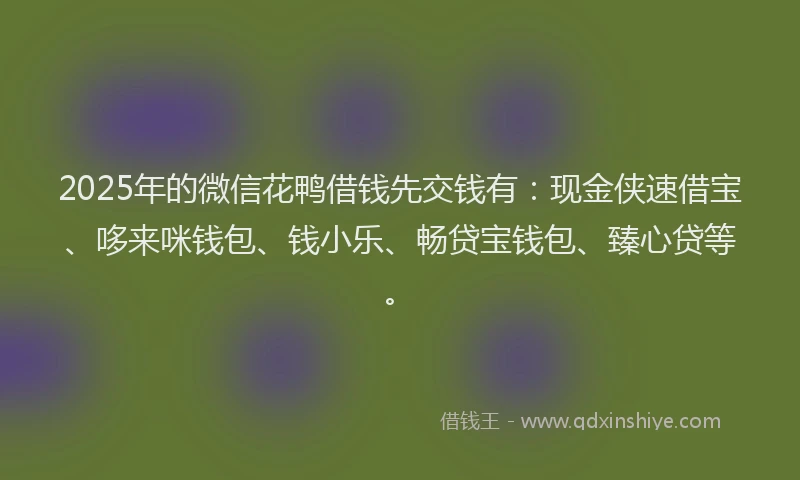 2025年的微信花鸭借钱先交钱有：现金侠速借宝、哆来咪钱包、钱小乐、畅贷宝钱包、臻心贷等。