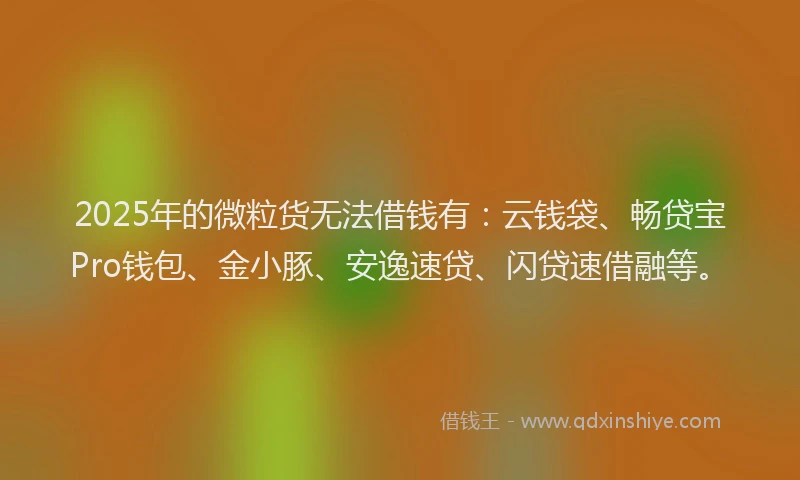 2025年的微粒货无法借钱有：云钱袋、畅贷宝Pro钱包、金小豚、安逸速贷、闪贷速借融等。