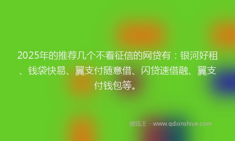 2025年的推荐几个不看征信的网贷有：银河好租、钱袋快易、翼支付随意借、闪贷速借融、翼支付钱包等。