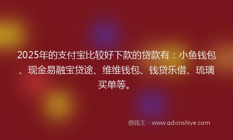 2025年的支付宝比较好下款的贷款有：小鱼钱包、现金易融宝贷途、维维钱包、钱贷乐借、琉璃买单等。