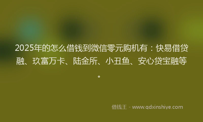 2025年的怎么借钱到微信零元购机有：快易借贷融、玖富万卡、陆金所、小丑鱼、安心贷宝融等。