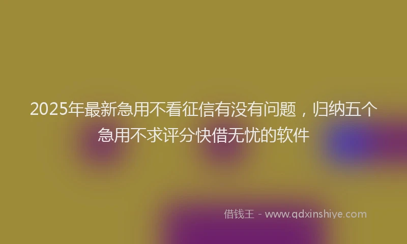 2025年最新急用不看征信有没有问题，归纳五个急用不求评分快借无忧的软件
