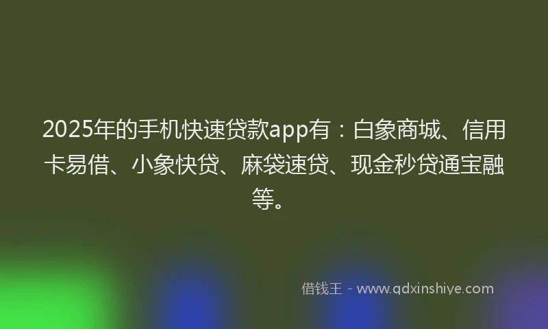 2025年的手机快速贷款app有：白象商城、信用卡易借、小象快贷、麻袋速贷、现金秒贷通宝融等。