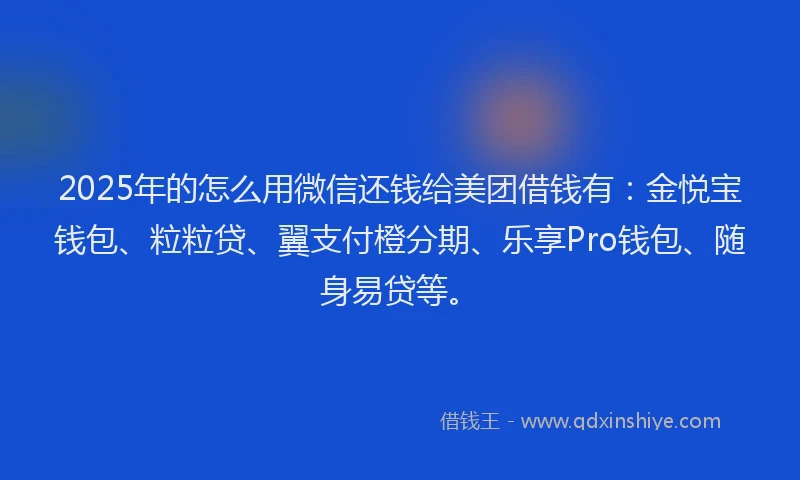2025年的怎么用微信还钱给美团借钱有：金悦宝钱包、粒粒贷、翼支付橙分期、乐享Pro钱包、随身易贷等。