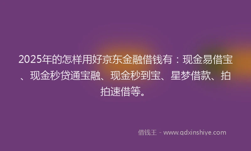 2025年的怎样用好京东金融借钱有：现金易借宝、现金秒贷通宝融、现金秒到宝、星梦借款、拍拍速借等。