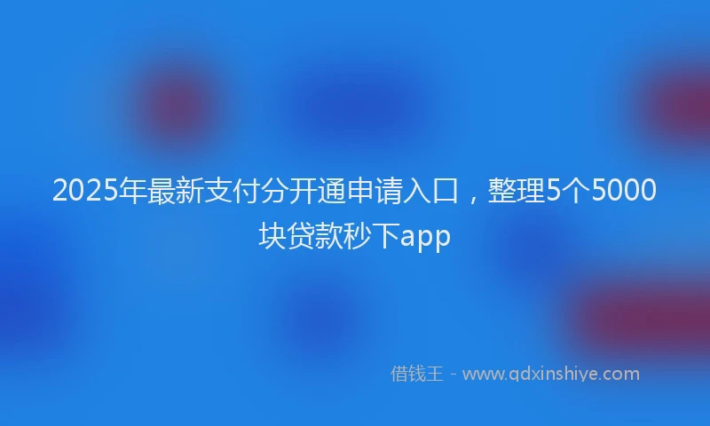 2025年最新支付分开通申请入口，整理5个5000块贷款秒下app