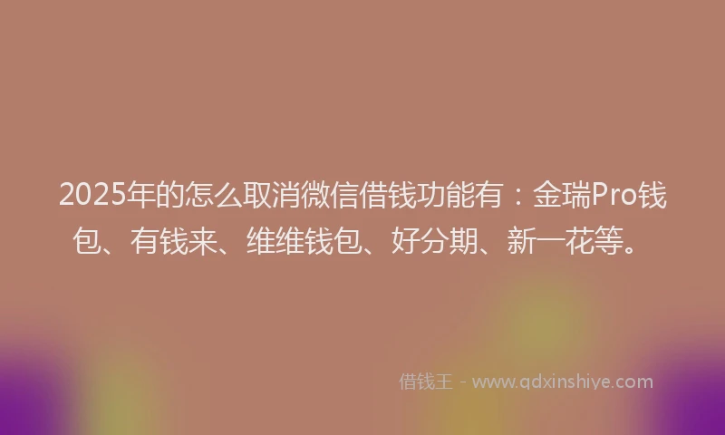 2025年的怎么取消微信借钱功能有：金瑞Pro钱包、有钱来、维维钱包、好分期、新一花等。