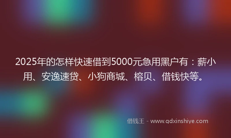 2025年的怎样快速借到5000元急用黑户有：薪小用、安逸速贷、小狗商城、榕贝、借钱快等。