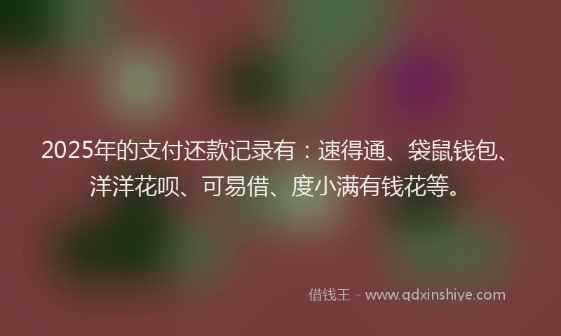 2025年的支付还款记录有：速得通、袋鼠钱包、洋洋花呗、可易借、度小满有钱花等。