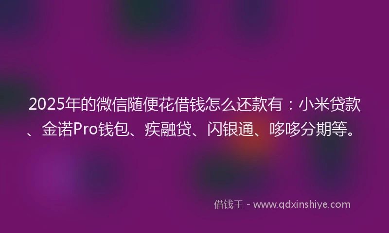 2025年的微信随便花借钱怎么还款有：小米贷款、金诺Pro钱包、疾融贷、闪银通、哆哆分期等。