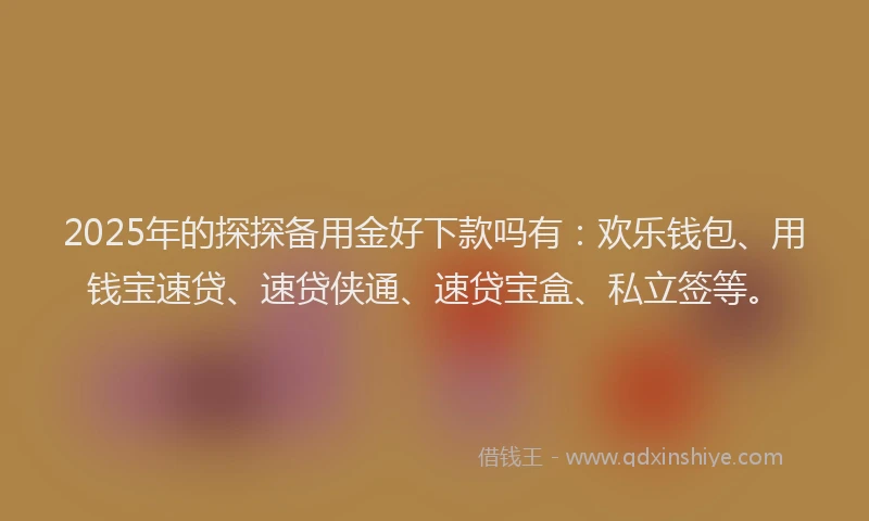 2025年的探探备用金好下款吗有：欢乐钱包、用钱宝速贷、速贷侠通、速贷宝盒、私立签等。