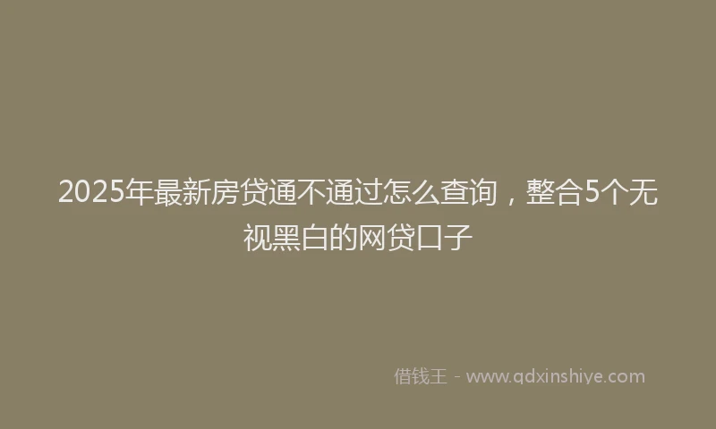 2025年最新房贷通不通过怎么查询，整合5个无视黑白的网贷口子
