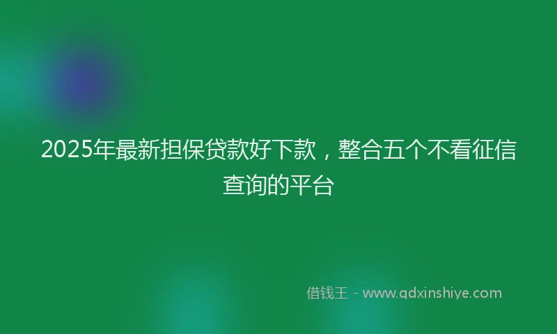 2025年最新担保贷款好下款，整合五个不看征信查询的平台