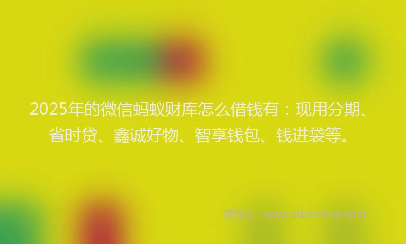 2025年的微信蚂蚁财库怎么借钱有：现用分期、省时贷、鑫诚好物、智享钱包、钱进袋等。