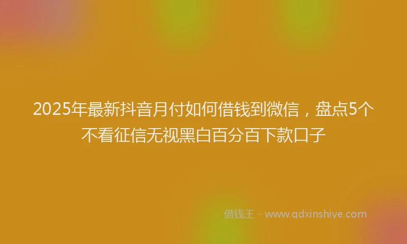 2025年最新抖音月付如何借钱到微信，盘点5个不看征信无视黑白百分百下款口子