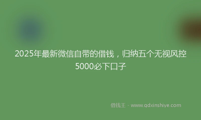 2025年最新微信自带的借钱，归纳五个无视风控5000必下口子