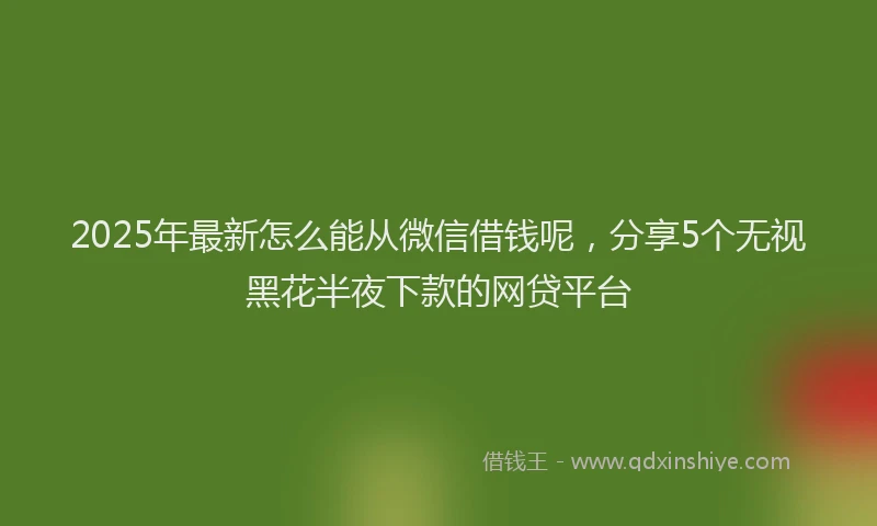 2025年最新怎么能从微信借钱呢，分享5个无视黑花半夜下款的网贷平台