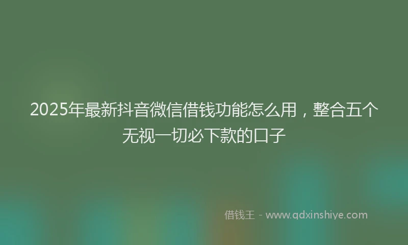 2025年最新抖音微信借钱功能怎么用，整合五个无视一切必下款的口子