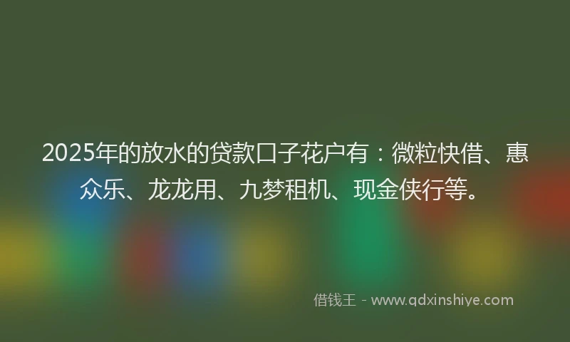 2025年的放水的贷款口子花户有：微粒快借、惠众乐、龙龙用、九梦租机、现金侠行等。