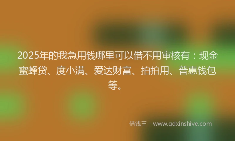 2025年的我急用钱哪里可以借不用审核有：现金蜜蜂贷、度小满、爱达财富、拍拍用、普惠钱包等。