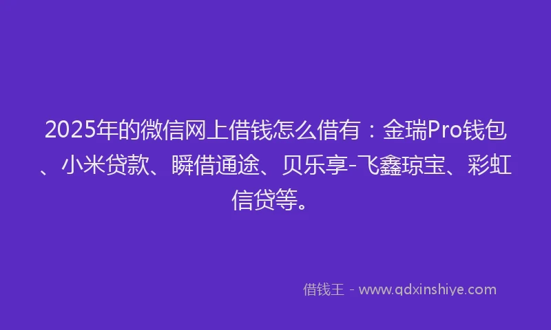 2025年的微信网上借钱怎么借有：金瑞Pro钱包、小米贷款、瞬借通途、贝乐享-飞鑫琼宝、彩虹信贷等。