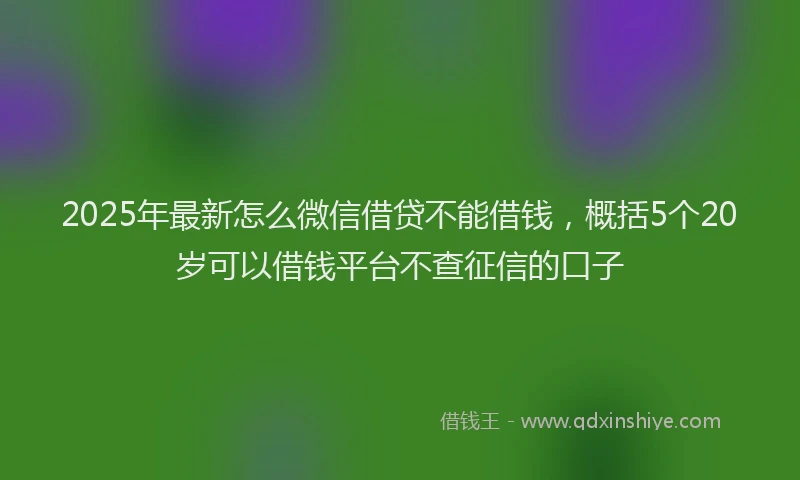 2025年最新怎么微信借贷不能借钱，概括5个20岁可以借钱平台不查征信的口子
