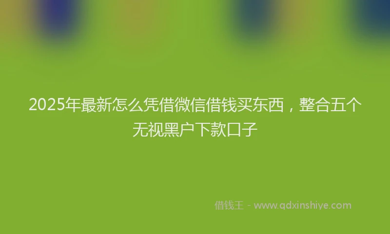 2025年最新怎么凭借微信借钱买东西，整合五个无视黑户下款口子