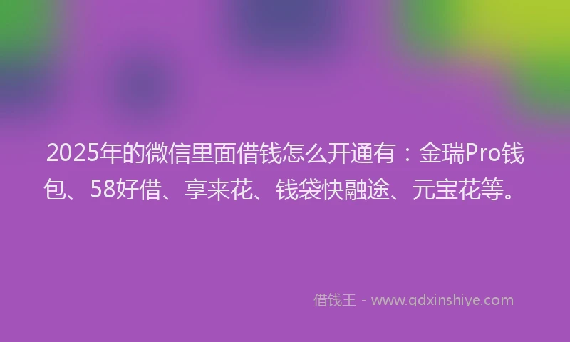 2025年的微信里面借钱怎么开通有：金瑞Pro钱包、58好借、享来花、钱袋快融途、元宝花等。