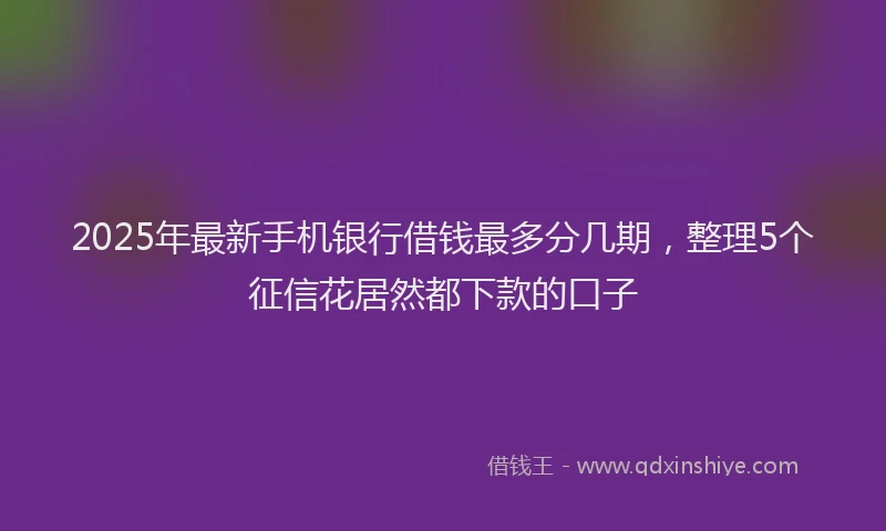 2025年最新手机银行借钱最多分几期，整理5个征信花居然都下款的口子