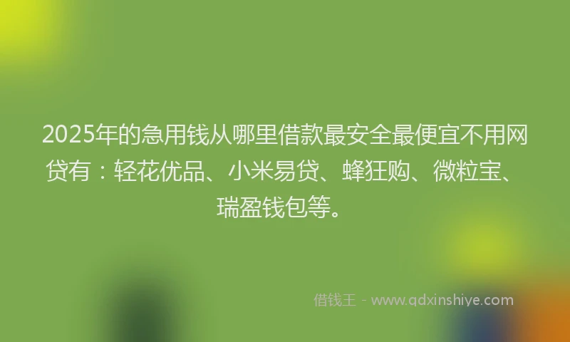 2025年的急用钱从哪里借款最安全最便宜不用网贷有：轻花优品、小米易贷、蜂狂购、微粒宝、瑞盈钱包等。