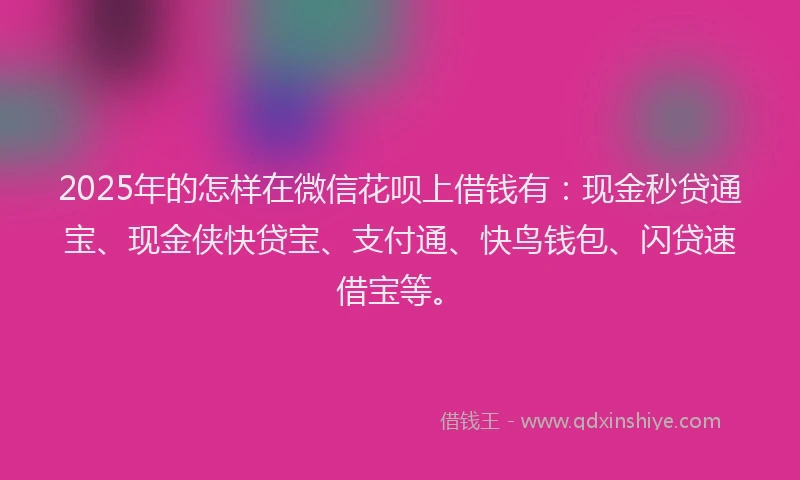 2025年的怎样在微信花呗上借钱有：现金秒贷通宝、现金侠快贷宝、支付通、快鸟钱包、闪贷速借宝等。