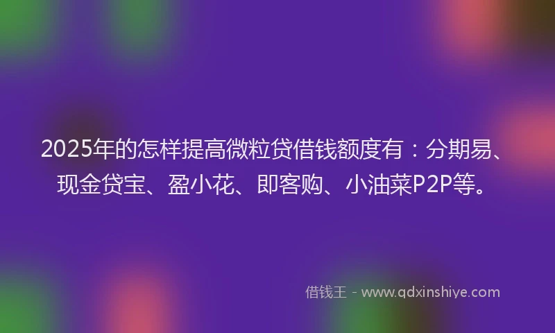 2025年的怎样提高微粒贷借钱额度有：分期易、现金贷宝、盈小花、即客购、小油菜P2P等。
