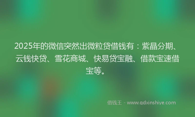 2025年的微信突然出微粒贷借钱有：紫晶分期、云钱快贷、雪花商城、快易贷宝融、借款宝速借宝等。