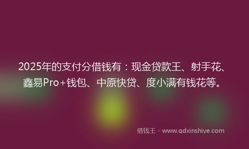 2025年的支付分借钱有：现金贷款王、射手花、鑫易Pro+钱包、中原快贷、度小满有钱花等。