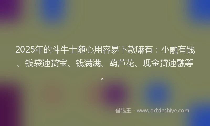 2025年的斗牛士随心用容易下款嘛有：小融有钱、钱袋速贷宝、钱满满、葫芦花、现金贷速融等。