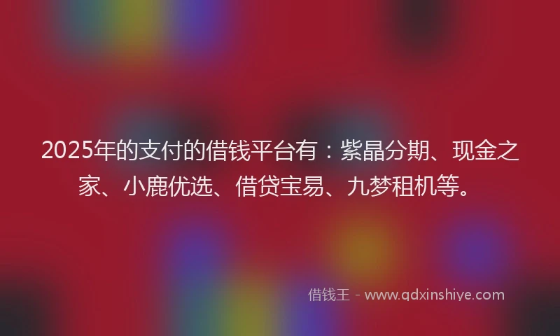 2025年的支付的借钱平台有：紫晶分期、现金之家、小鹿优选、借贷宝易、九梦租机等。
