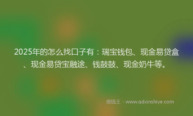 2025年的怎么找口子有：瑞宝钱包、现金易贷盒、现金易贷宝融途、钱鼓鼓、现金奶牛等。