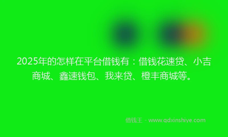 2025年的怎样在平台借钱有：借钱花速贷、小吉商城、鑫速钱包、我来贷、橙丰商城等。