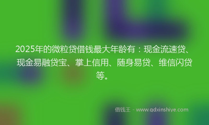 2025年的微粒贷借钱最大年龄有：现金流速贷、现金易融贷宝、掌上信用、随身易贷、维信闪贷等。