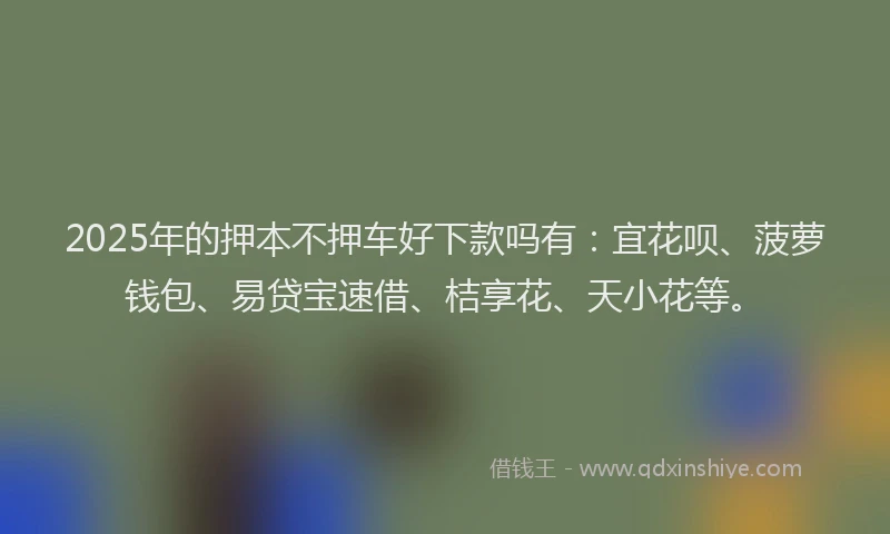2025年的押本不押车好下款吗有：宜花呗、菠萝钱包、易贷宝速借、桔享花、天小花等。