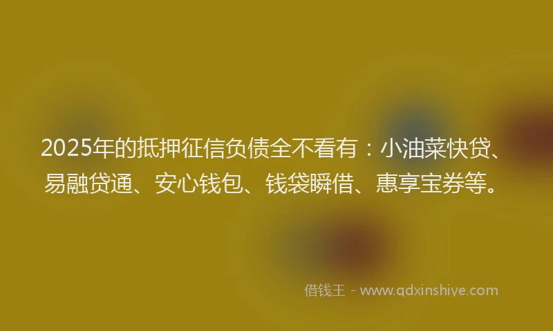2025年的抵押征信负债全不看有：小油菜快贷、易融贷通、安心钱包、钱袋瞬借、惠享宝券等。
