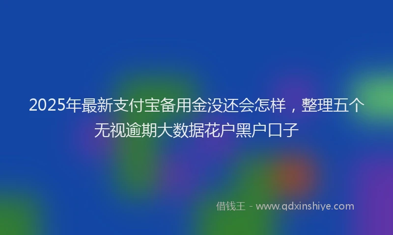 2025年最新支付宝备用金没还会怎样，整理五个无视逾期大数据花户黑户口子